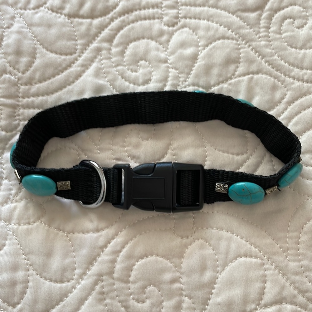 Dog Collar | Unique turquoise stone and silver bead dog collar.
